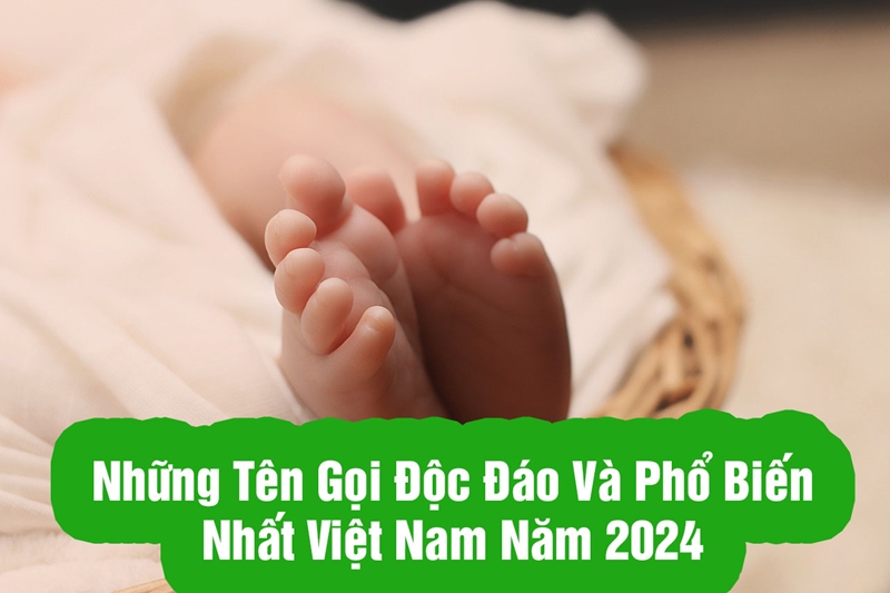 Những Tên Gọi Độc Đáo và Phổ Biến Nhất Việt Nam năm 2024